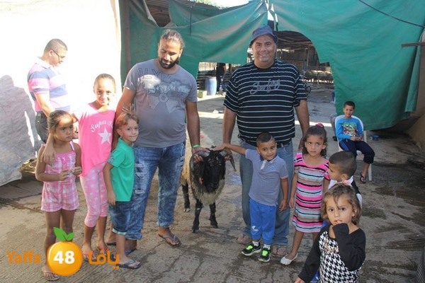 dabe7 ludj31 (16).JPG